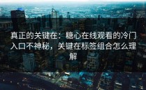 真正的关键在：糖心在线观看的冷门入口不神秘，关键在标签组合怎么理解