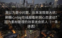 我以为是小问题，后来发现是大坑：刷糖心vlog在线观看刷到心态波动？因为素材管理的效率太会抓人（一条讲透）