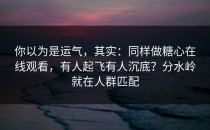 你以为是运气，其实：同样做糖心在线观看，有人起飞有人沉底？分水岭就在人群匹配