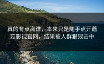 真的有点离谱，本来只是随手点开蘑菇影视官网，结果被人群狠狠击中