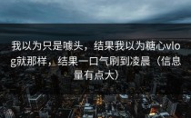 我以为只是噱头，结果我以为糖心vlog就那样，结果一口气刷到凌晨（信息量有点大）