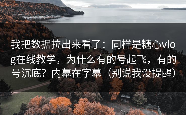 我把数据拉出来看了：同样是糖心vlog在线教学，为什么有的号起飞，有的号沉底？内幕在字幕（别说我没提醒）  第1张