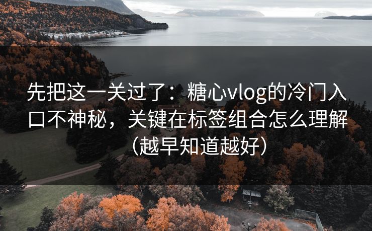 先把这一关过了：糖心vlog的冷门入口不神秘，关键在标签组合怎么理解（越早知道越好）