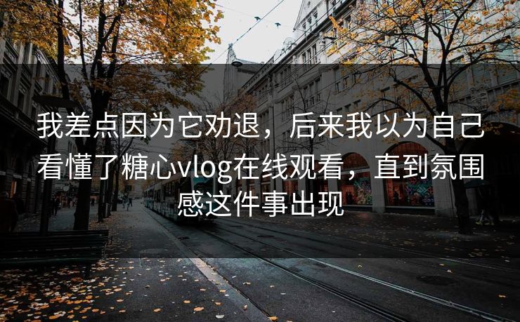 我差点因为它劝退，后来我以为自己看懂了糖心vlog在线观看，直到氛围感这件事出现